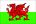 Welsh dragon